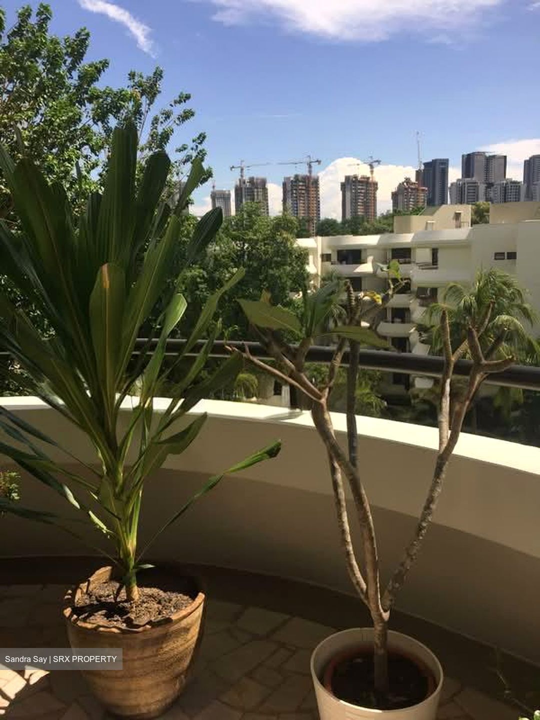 Regency Suites (D3), Apartment #561573251